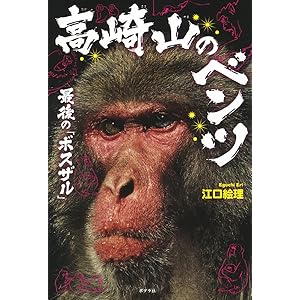 猿さん専用 mqdefault.jpg